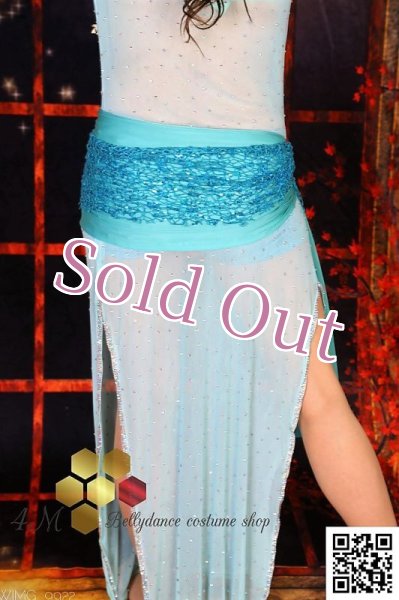 画像7: バラディNo,244 (7)