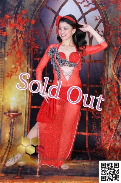 画像2: バラディNo,242 (2)