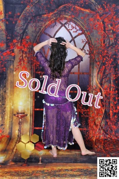 画像6: バラディNo,243 (6)