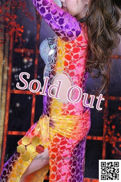 画像7: バラディNo,251 (7)