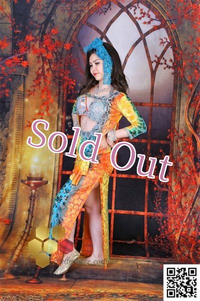 画像4: バラディNo,250 (4)