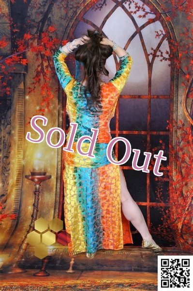 画像5: バラディNo,250 (5)