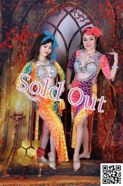 画像10: バラディNo,249 (10)