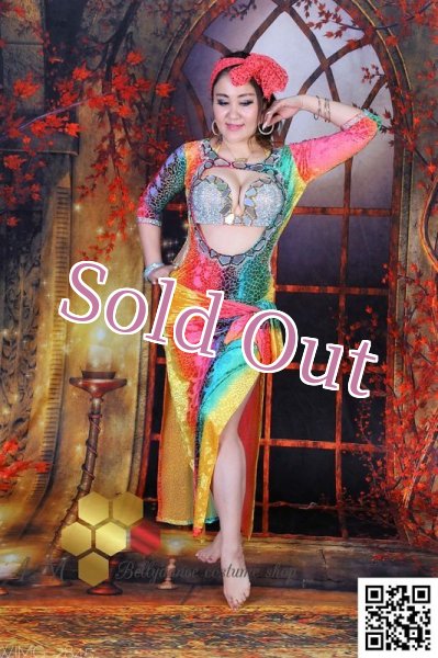 画像1: バラディNo,249 (1)