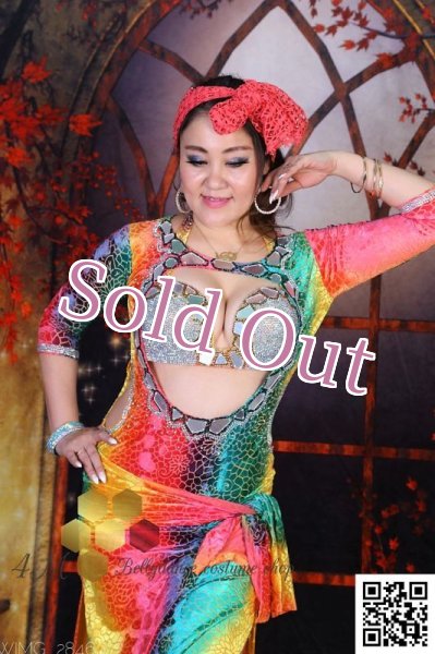 画像2: バラディNo,249 (2)