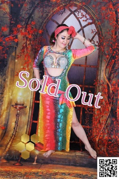 画像3: バラディNo,249 (3)