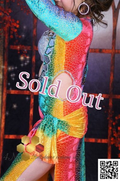 画像7: バラディNo,249 (7)