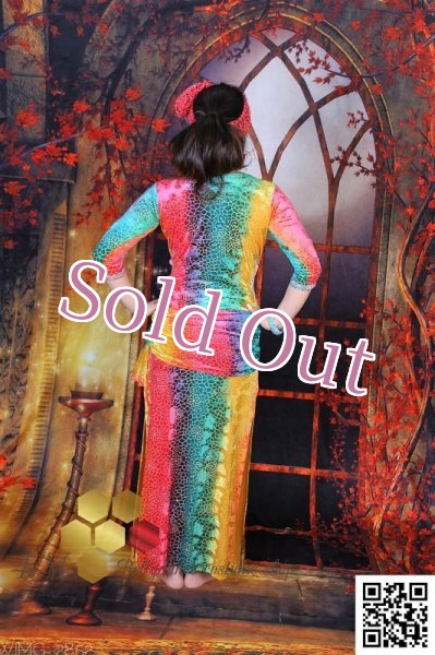 画像8: バラディNo,249 (8)