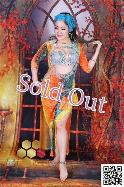 画像1: バラディNo,247 (1)