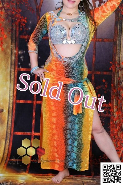 画像4: バラディNo,247 (4)