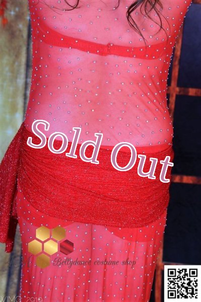 画像7: バラディNo,252 (7)