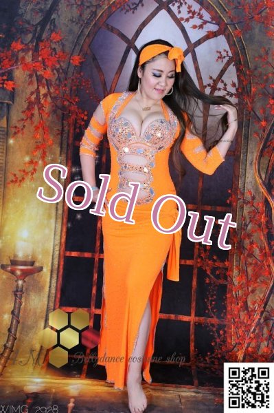 画像1: バラディNo,254 (1)