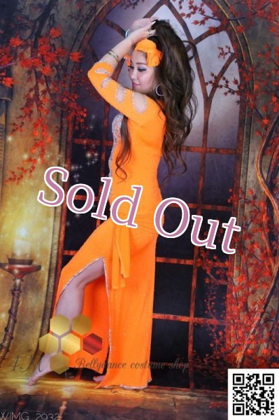 画像5: バラディNo,254 (5)