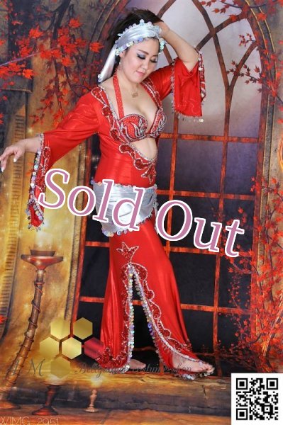 画像6: サイディ  (6)