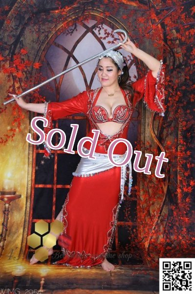 画像9: サイディ  (9)