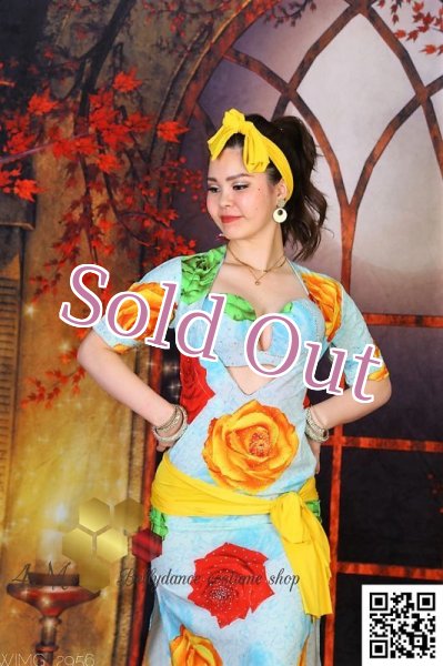 画像2: バラディNo,255 (2)