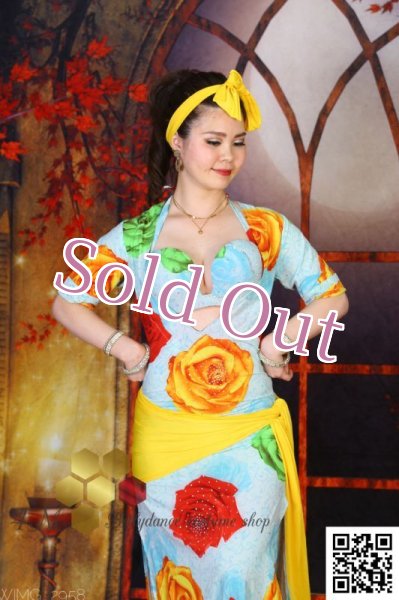 画像4: バラディNo,255 (4)