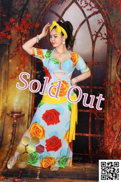 画像5: バラディNo,255 (5)