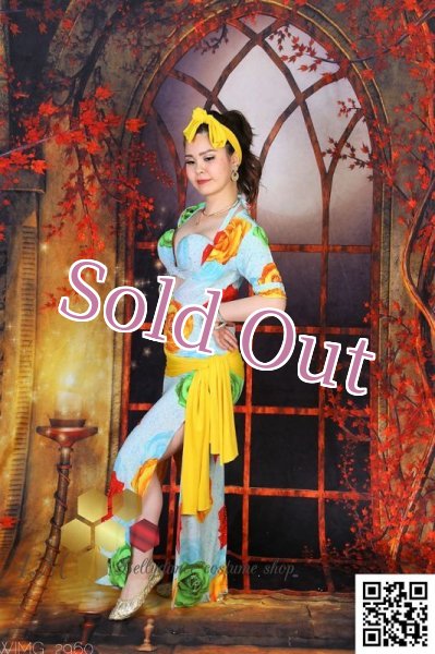 画像6: バラディNo,255 (6)