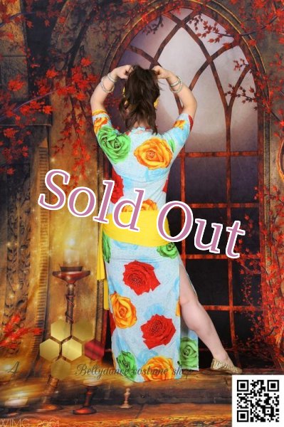 画像7: バラディNo,255 (7)