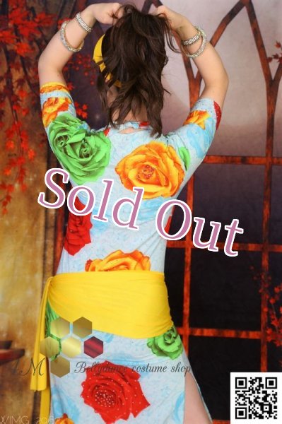 画像8: バラディNo,255 (8)