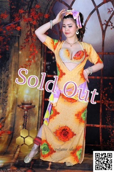 画像4: バラディNo,256 (4)