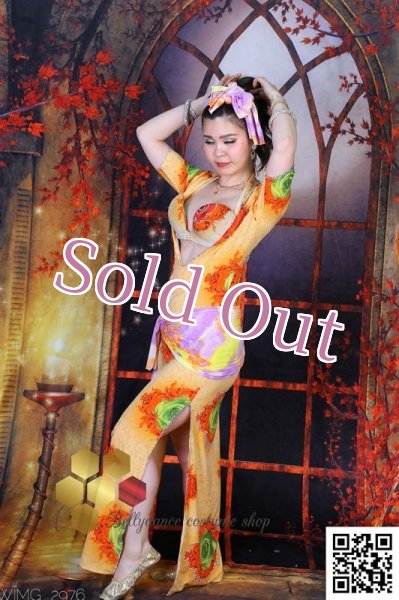 画像5: バラディNo,256 (5)