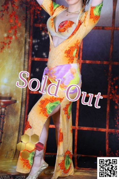 画像6: バラディNo,256 (6)