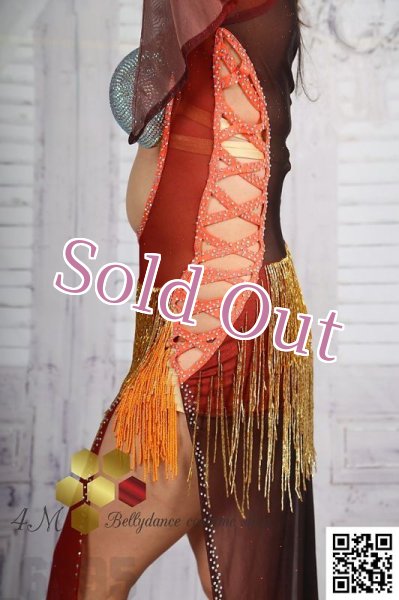 画像7: バラディNo,258 (7)