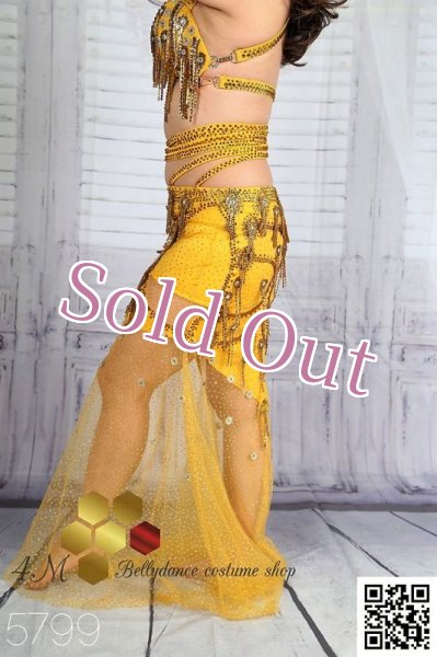 画像4: Mamdoouh Salama  No,1 (4)