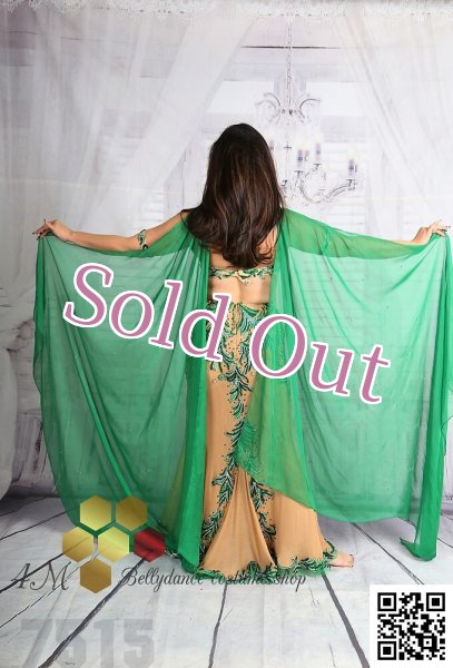 画像7: Emanzaki/Hodazaki  No,51 (7)