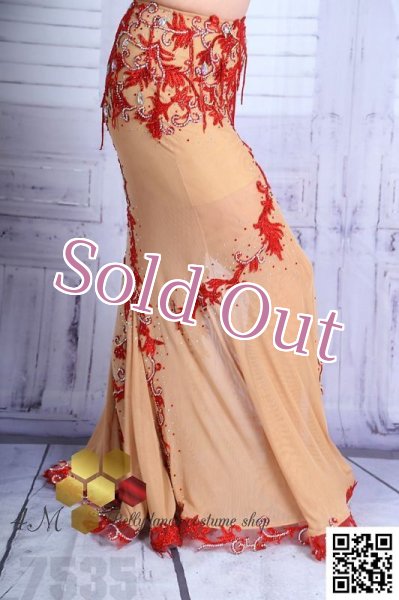 画像13: Emanzaki/Hodazaki  No,50 (13)