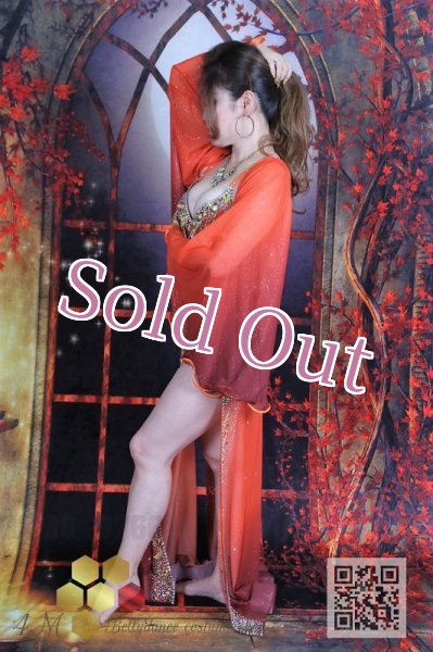 画像9: MUSE No,6 (9)