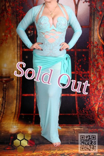 画像1: バラディNo,349 (1)