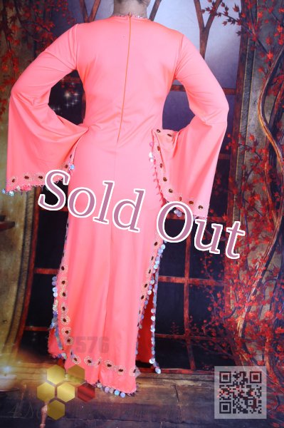 画像4: サイディ 255 (4)