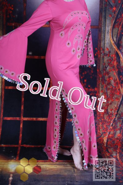 画像3: サイディ 255 (3)