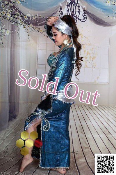 画像4: サイディ  (4)